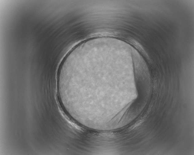 X0000066520844200604141812