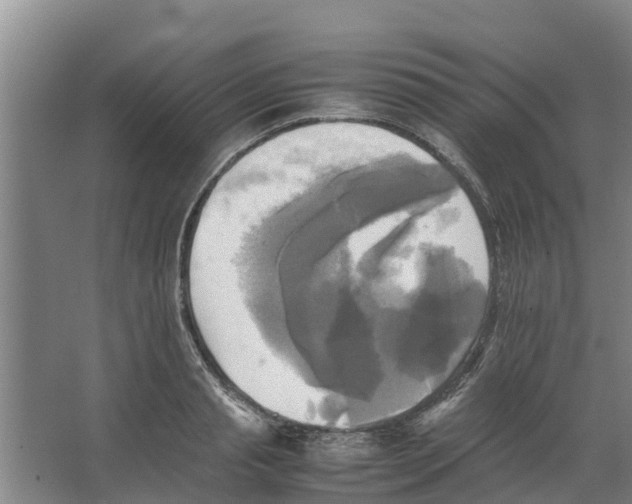 X0000066520845200604141812