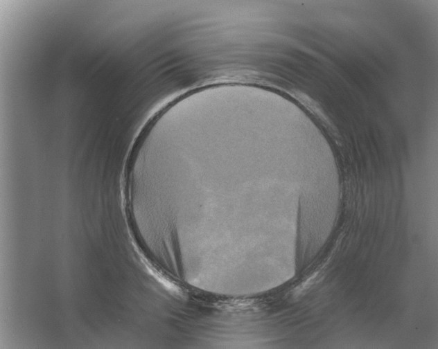 X0000066520846200604141812