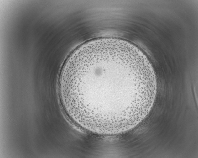 X0000066520848200604141812