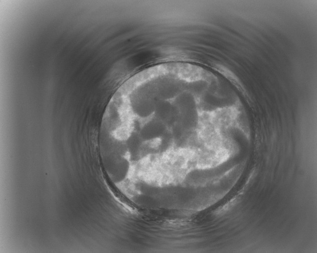 X0000066520849200604141812