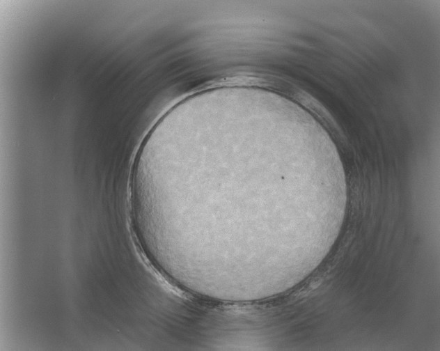 X0000066520852200604141812