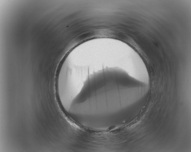 X0000066520853200604141812