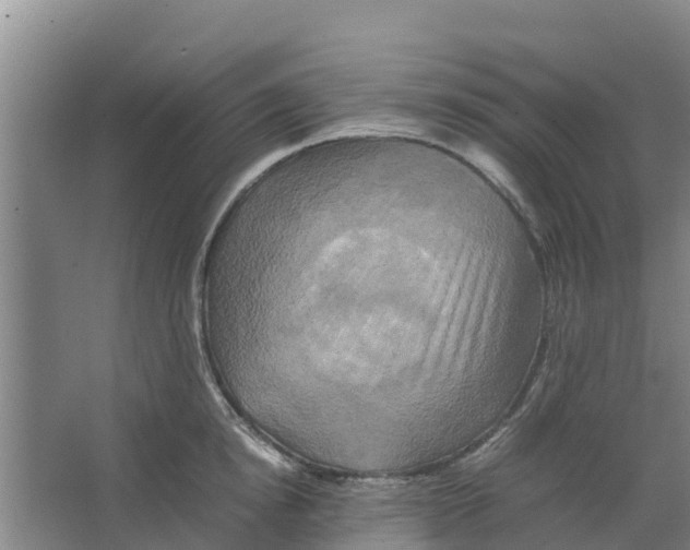 X0000066520854200604141812