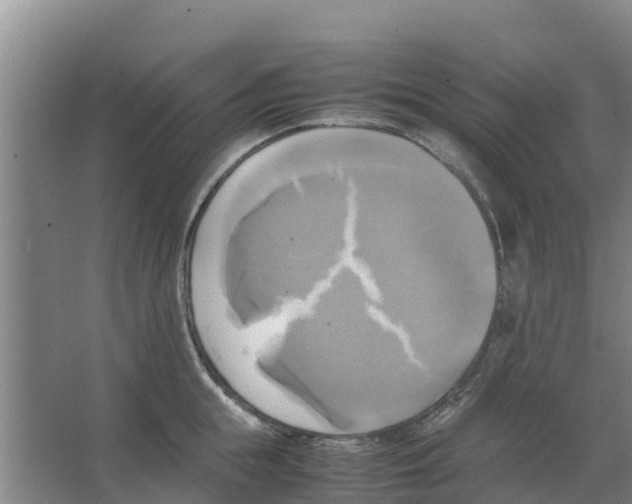 X0000066520855200604141812