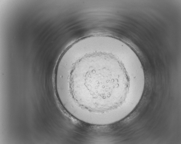 X0000066520856200604141812