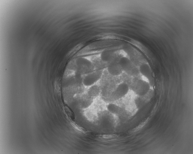 X0000066520857200604141812