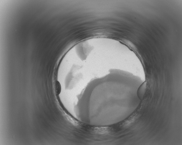 X0000066520859200604141812