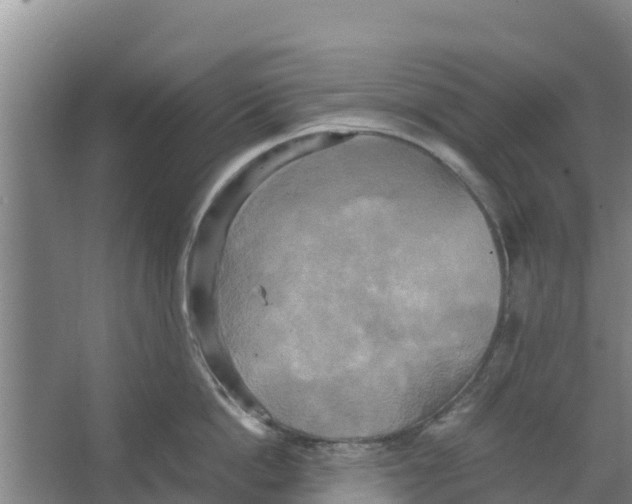 X0000066520862200604141812