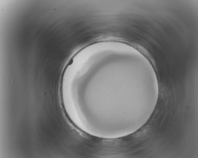 X0000066520863200604141812