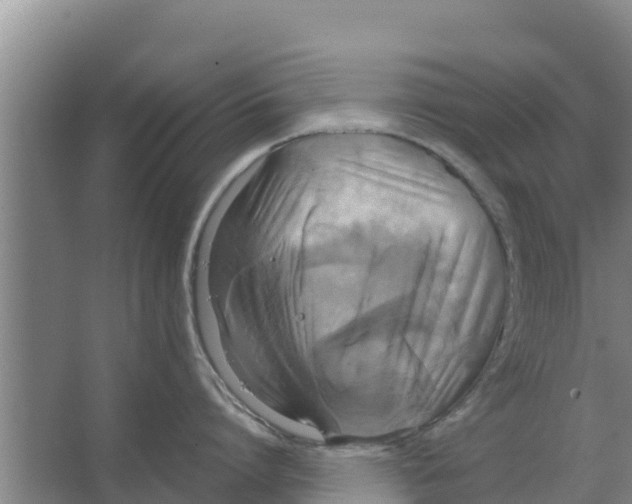 X0000066520864200604141812