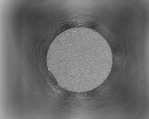 X0000066520865200604141811