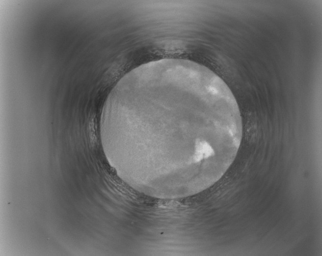 X0000066520866200604141811