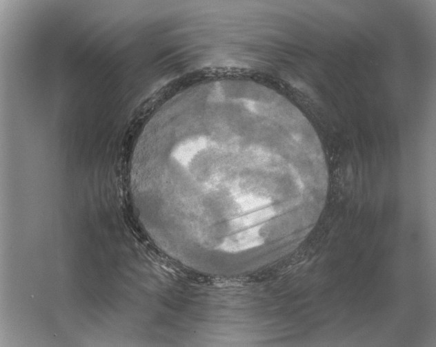 X0000066520870200604141811