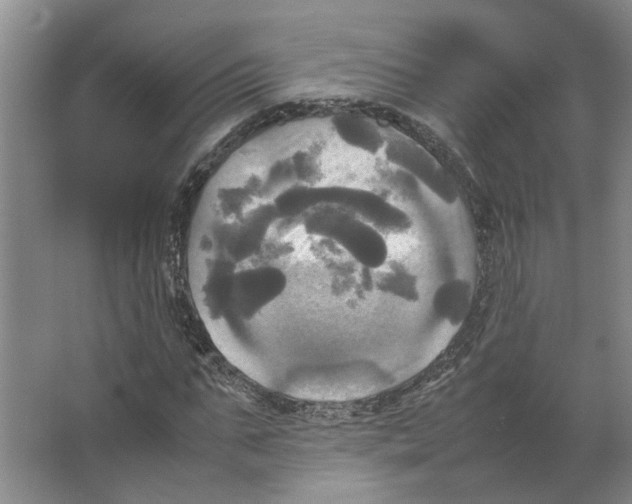 X0000066520871200604141811