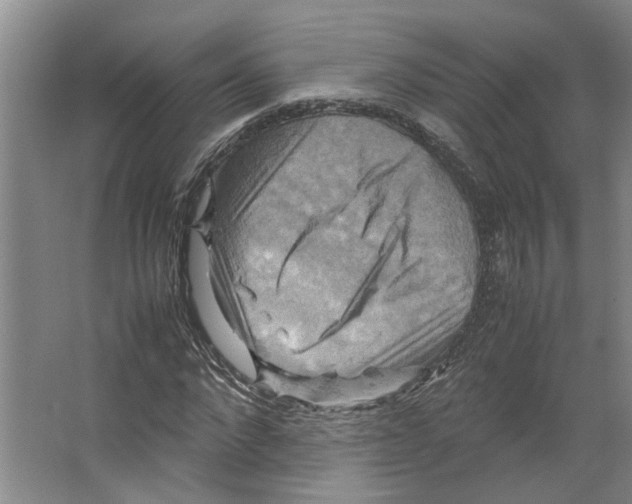 X0000066520872200604141811