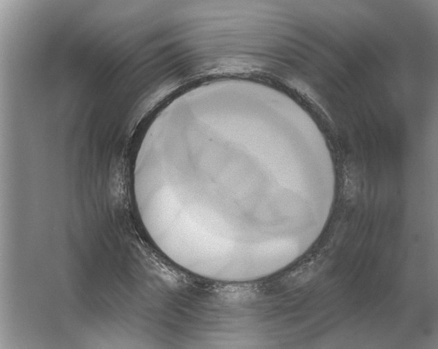 X0000066520874200604141811