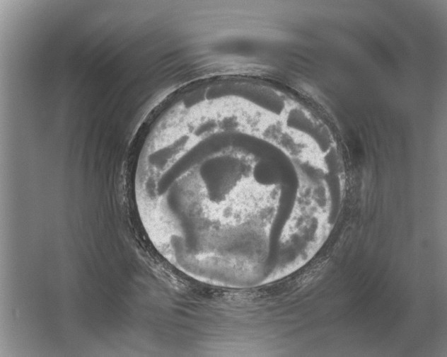 X0000066520875200604141811