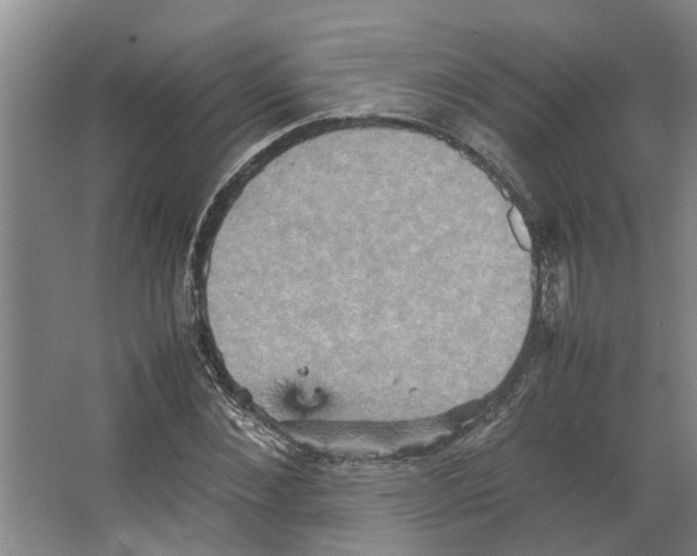 X0000066520876200604141811