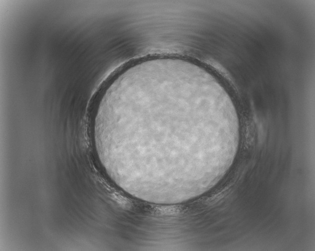 X0000066520878200604141811