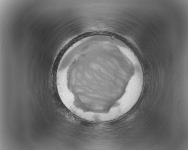 X0000066520879200604141811