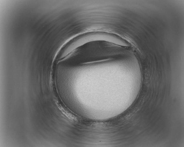 X0000066520880200604141811