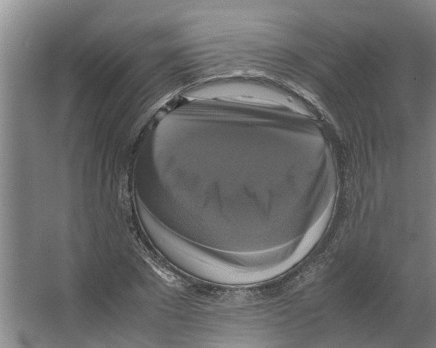 X0000066520881200604141811