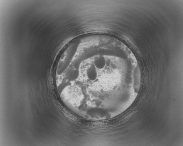 X0000066520883200604141811