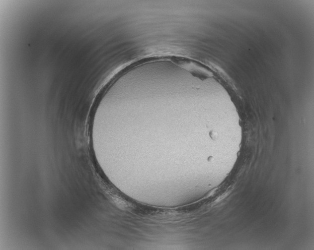 X0000066520885200604141811