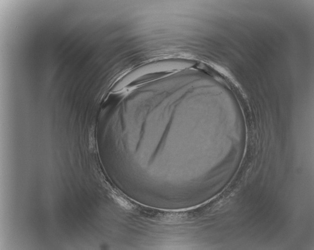 X0000066520889200604141811