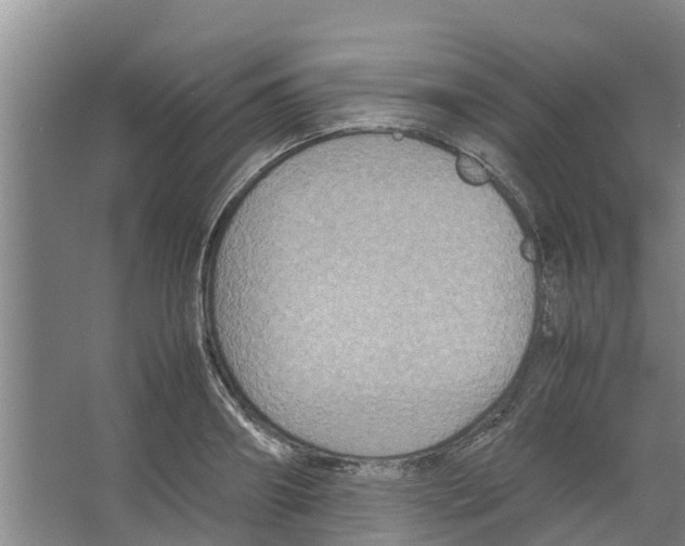 X0000066520890200604141811