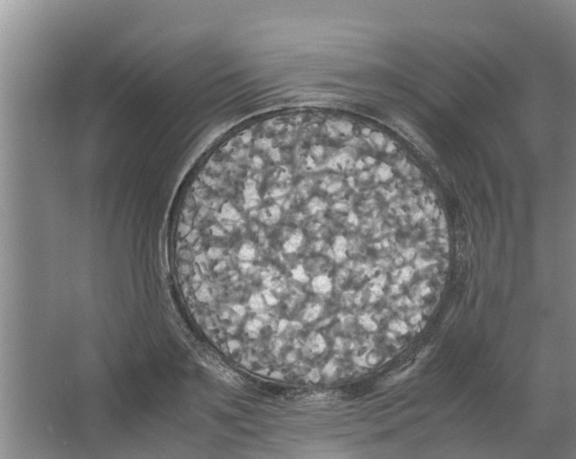 X0000066520891200604141811