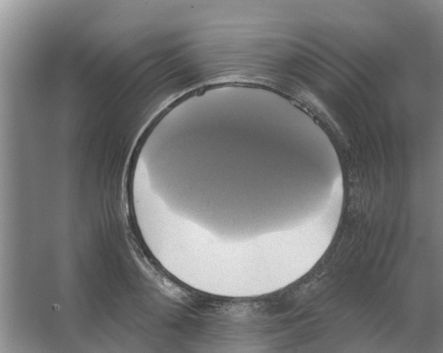 X0000066520892200604141811