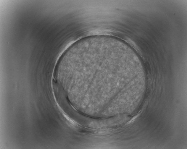 X0000066520893200604141811