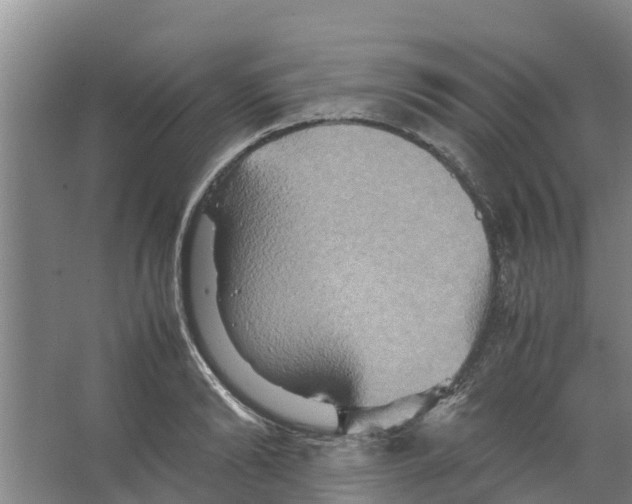 X0000066520894200604141811