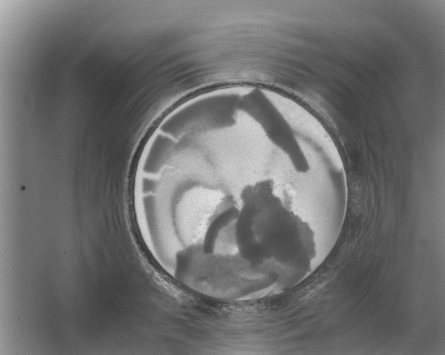 X0000066520895200604141811