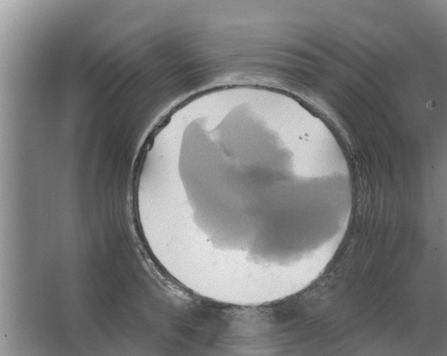 X0000066520896200604141811