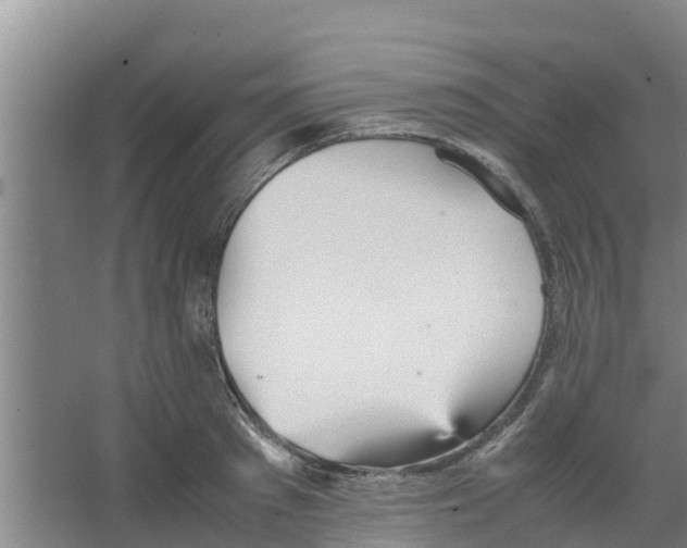 X0000066520897200604141811