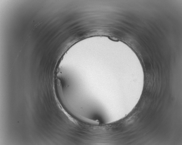 X0000066520898200604141811