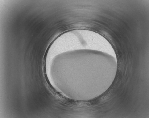 X0000066520899200604141811