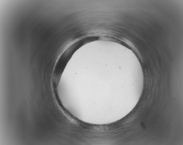 X0000066520901200604141811