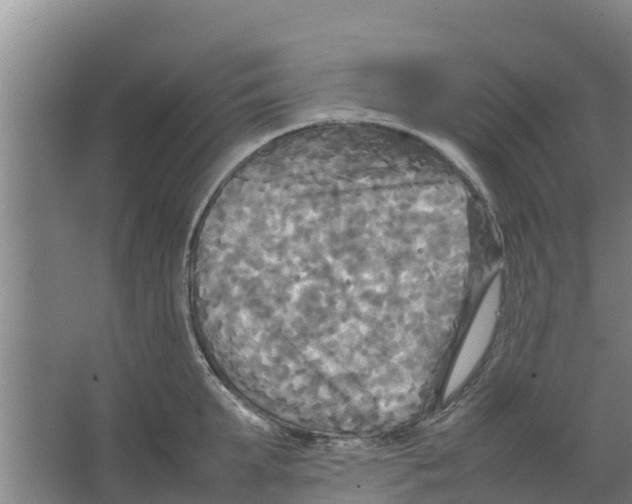 X0000066520903200604141811