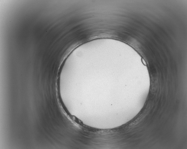 X0000066520906200604141811