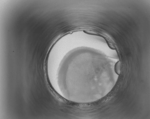 X0000066520907200604141811