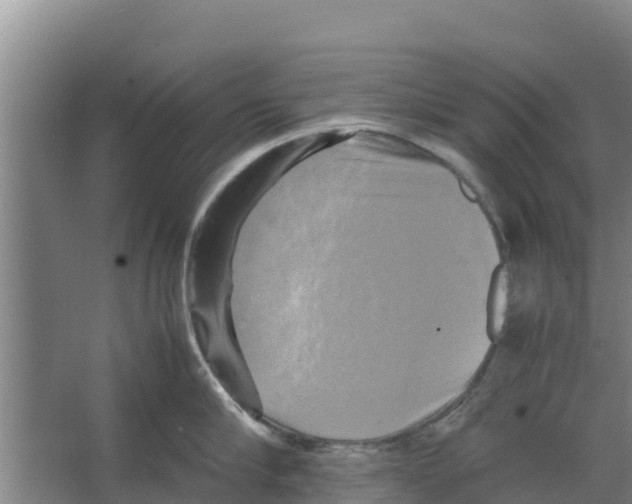 X0000066520910200604141811