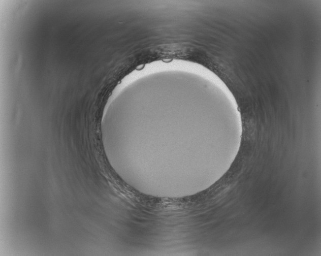 X0000066520913200604141810