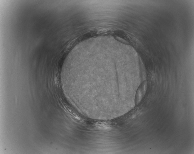 X0000066520914200604141810