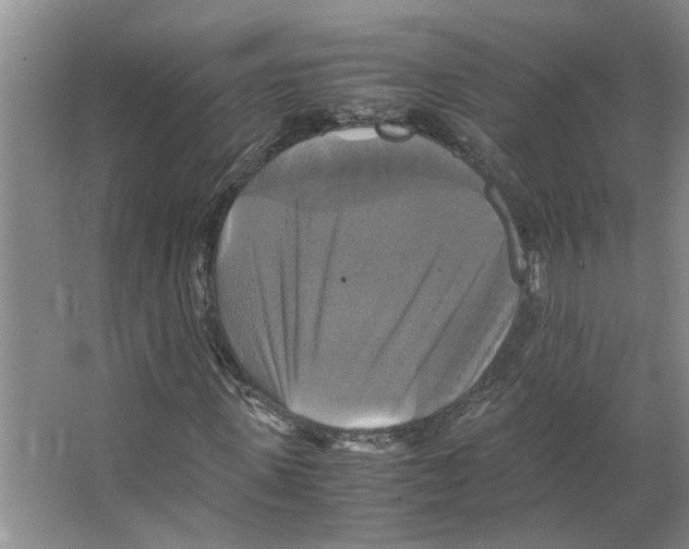 X0000066520915200604141810