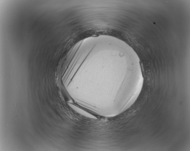 X0000066520916200604141810