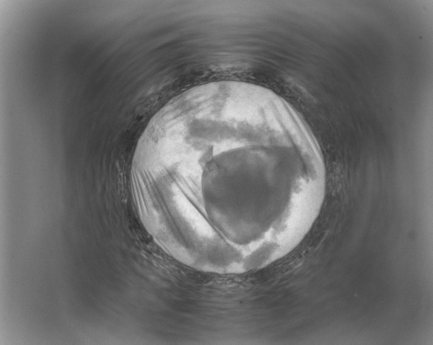 X0000066520917200604141810